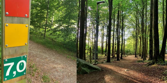 Bildcollage med två bilder där den försat visar färgmarkeringar och avstånd motionsslingor Uggleskogen. Den andra bilden visar en bit av det elbelysta motionsspåret i skogen.
