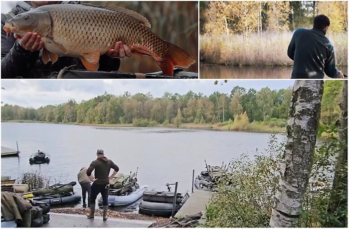 Bildcollage med tre bilder från karpfiske.