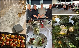 Bildcollage från Nobelfirande på Traäffpunkten, Ybbåsen Perstorp. Bilderna visar fyra leende kvinnor, fina glas med bubbel, en förrrätt med mat, personer vid bord och en bordsdekoration gjord av gran.