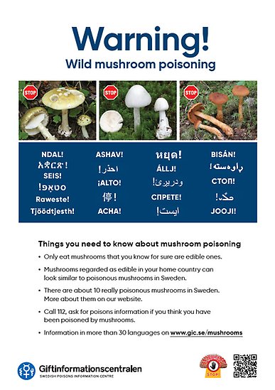 Bilder på giftiga svampar i Sverige