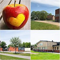 Hälsodagar 2019 på Oderljunga skola, Parkskolan och Norra lyckanskolan